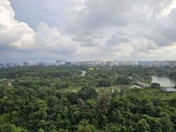 Ivory Heights (D22), Condominium #529242151